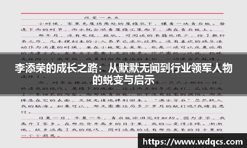 李添荣的成长之路：从默默无闻到行业领军人物的蜕变与启示